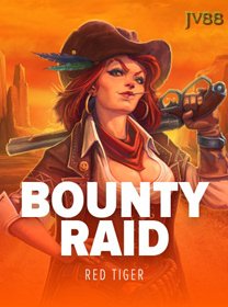 Bounty Raid game cover